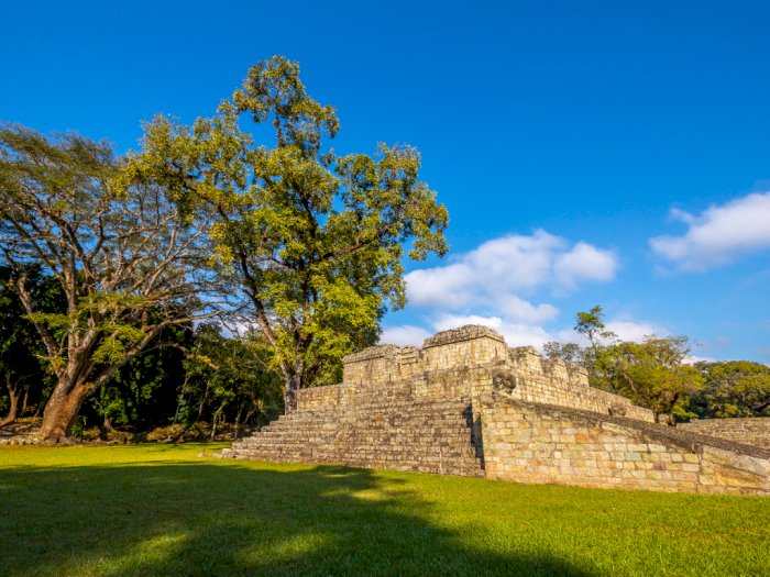 Kota Suku Maya Kuno Ditemukan di Dalam Hutan Meksiko, Ada Pasar hingga Kuil