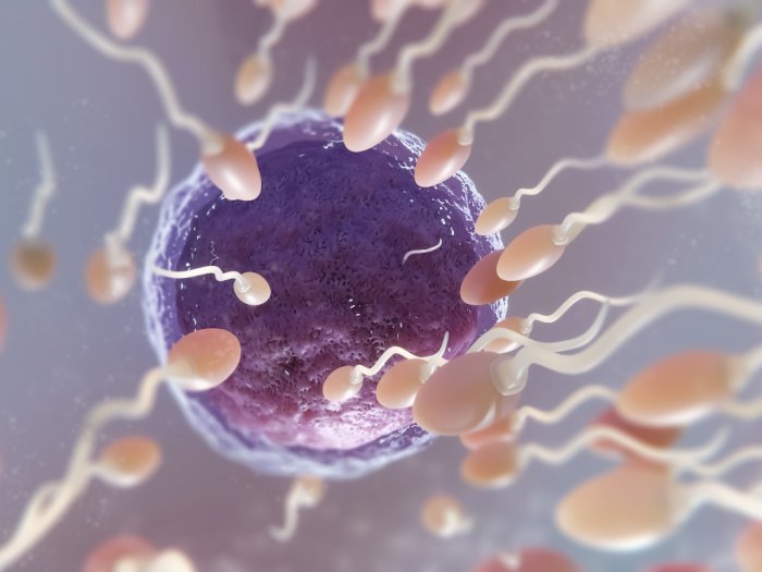 Sperma Berwarna Kuning? Ini Penyebab dan Cara Mengobatinya