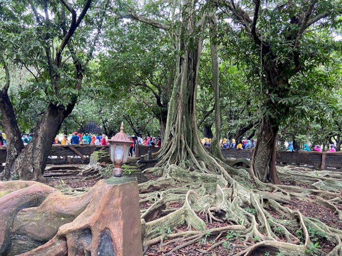 Dulunya Angker, Pohon Ini Jadi 'Keramat' Karena Pernah Dipijak Pangeran Diponegoro!