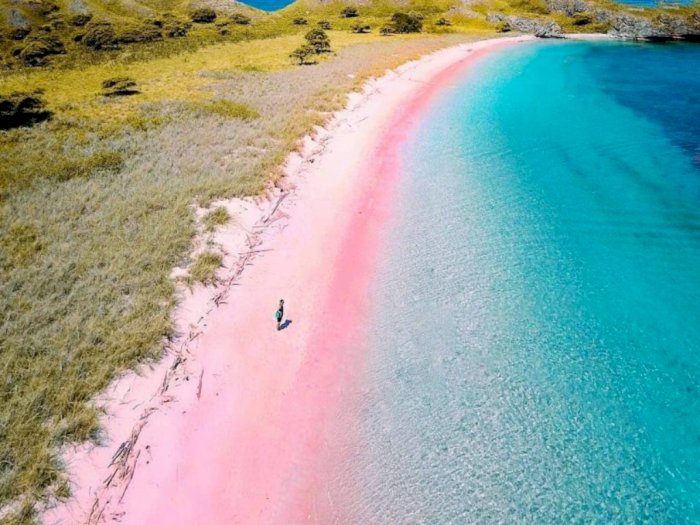Tak Perlu Jauh ke Bahamas! Ini 5 Pantai Pasir Pink di Indonesia