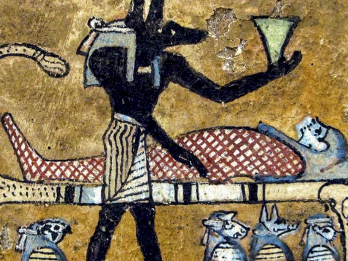 Siapa Sangka, Tinja Jadi Obat Mujarab di Zaman Kuno, Efektif Sembuhkan Cedera dan Mimisan