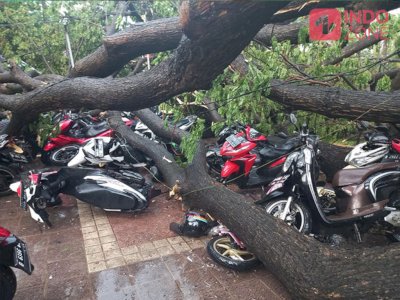 Kondisi 5 Polisi yang Tertimpa Pohon di Balai Kota DKI Jakarta, Ada yang Patah Tulang
