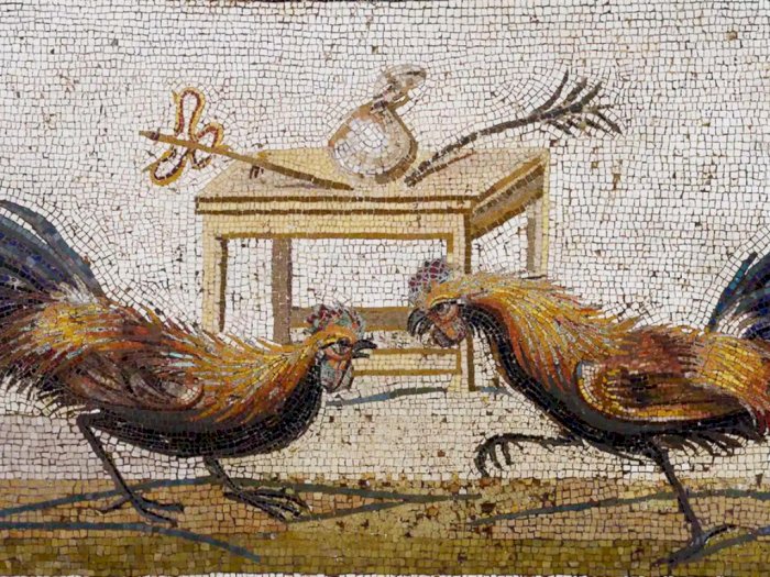 Uniknya Orang Romawi Kuno, Ayam Dianggap Suci dan Jadi Pengambil Keputusan Penting