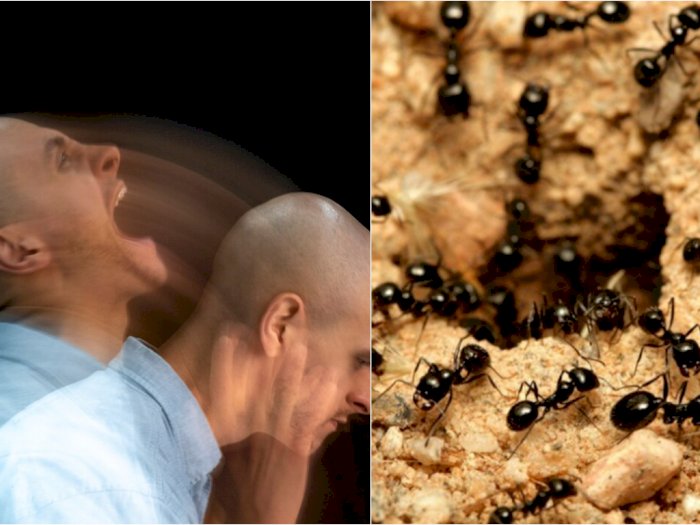 Penyakit Aneh yang Bikin Penderitanya Berhalusinasi Kalau Tubuhnya Dipenuhi Serangga