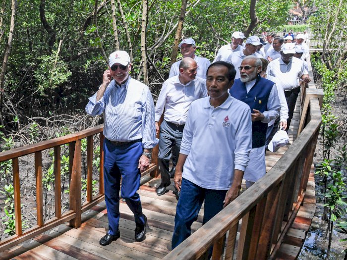 Joe Biden Kaget Lihat Hutan Mangrove di Bali, Kontribusi RI Soal Perubahan Iklim 
