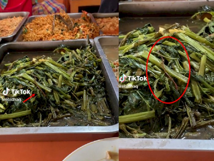 Iyuh! Warganet Temukan Cacing Hidup dalam Tumis Kangkung, Auto Trauma Makan Sayur