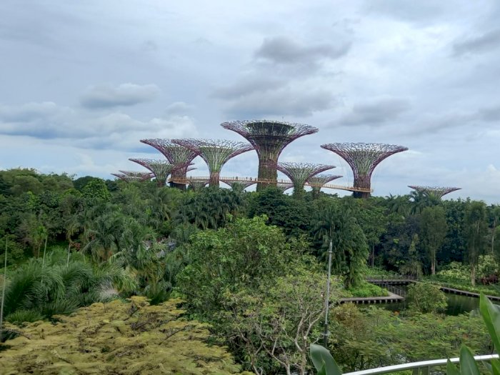 5 Rekomendasi Tempat Wisata di Singapura yang Gratis, Cocok Buat Liburan Akhir Tahun