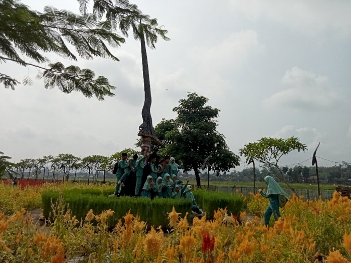  Nangkula Park, Ikon Baru Wisata Alam di Tulungagung yang Bertabur Bunga Celosia