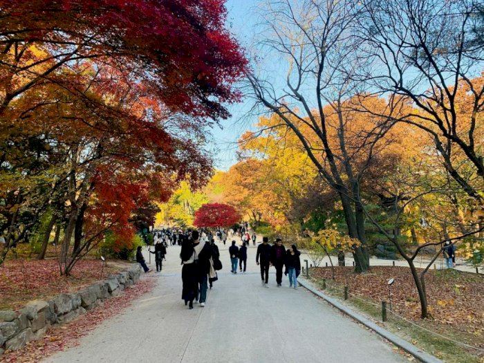 Musim Gugur di Changdeokgung Palace Korea, Secret Garden-nya Bikin Susah Move On!