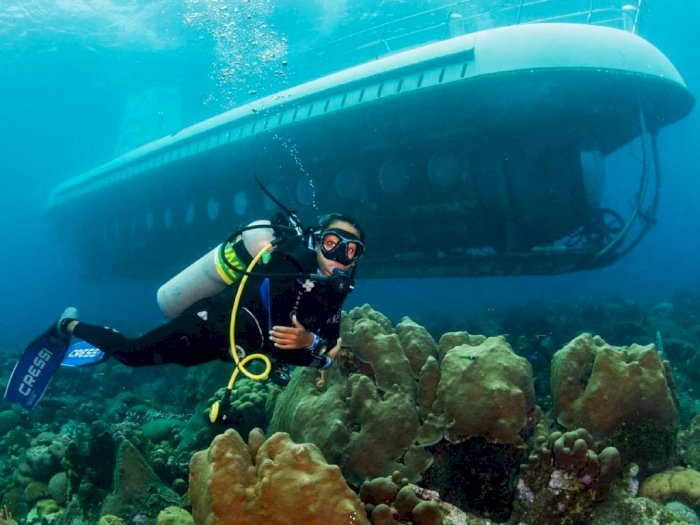 Hawaii: Perjalanan Bawah Laut di Wahana 'Atlantis Submarine Advantures' yang Keren Banget