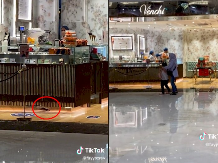  Viral! Tikus Berkeliaran di Mall hingga Masuk ke Toko Cokelat, Pengunjung Ketar-ketir