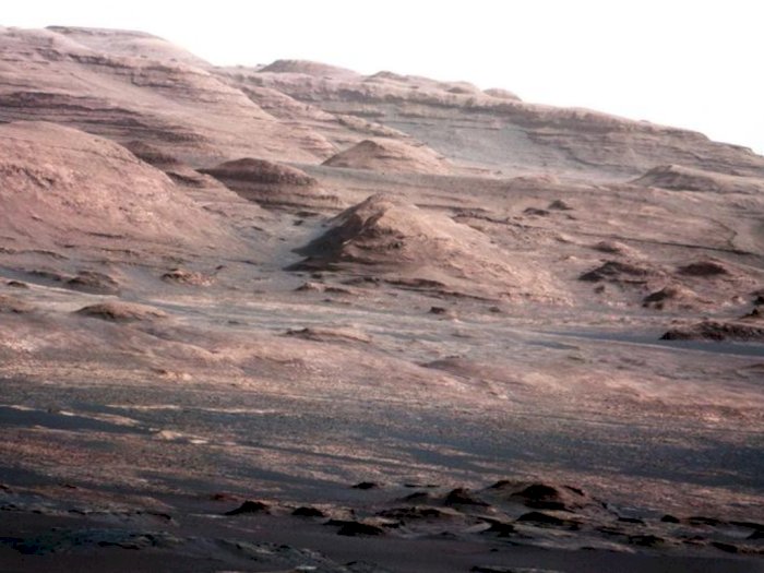 Ide Gila Ilmuwan Inggris yang Ingin Bikin Hutan Cagar Alam di Mars, Bisa Terwujud Gak ya?