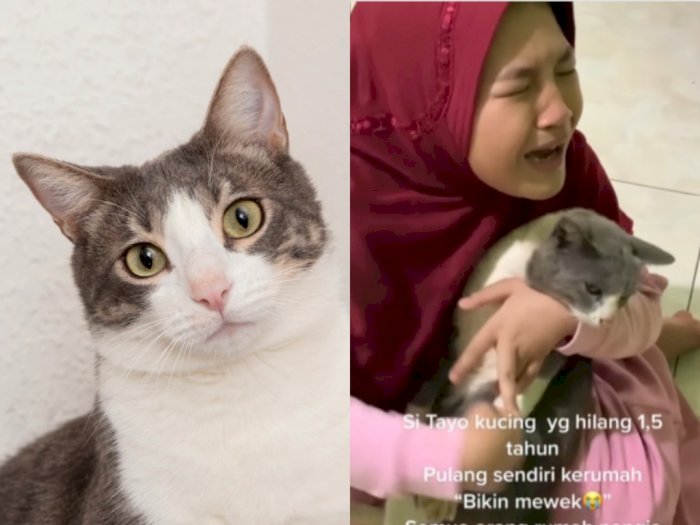 Momen Haru, Gadis Kecil Peluk Kucing Kesayangannya yang Hilang Hampir 2 Tahun
