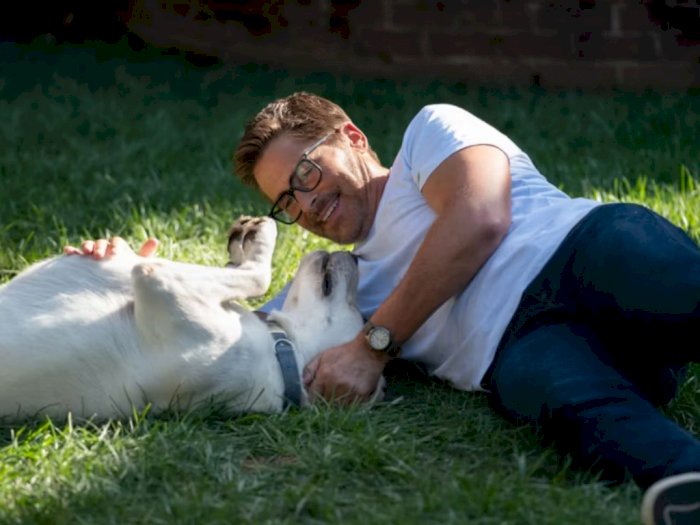 Trailer 'Dog Gone' Dirilis, Film Netflix Terbaru Tentang Keluarga dan Anjing Peliharaan
