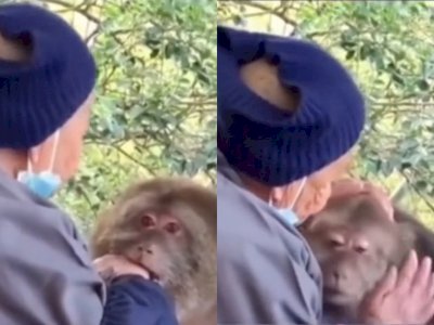 Tangannya Digigit Monyet, Reaksi Nenek Ini Tak Terduga Bikin Hati Monyet Luluh
