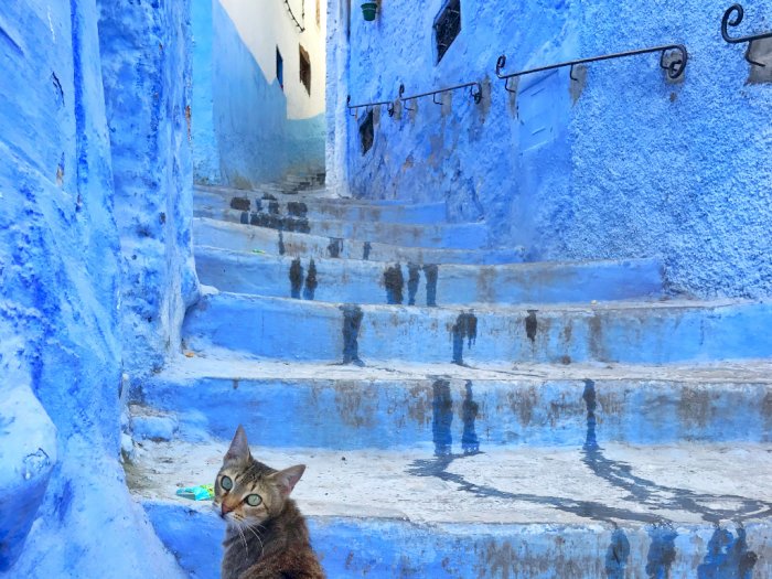 Chefchaouen: Kota Biru yang Instagenik di Maroko, Bikin Mata Fresh! 