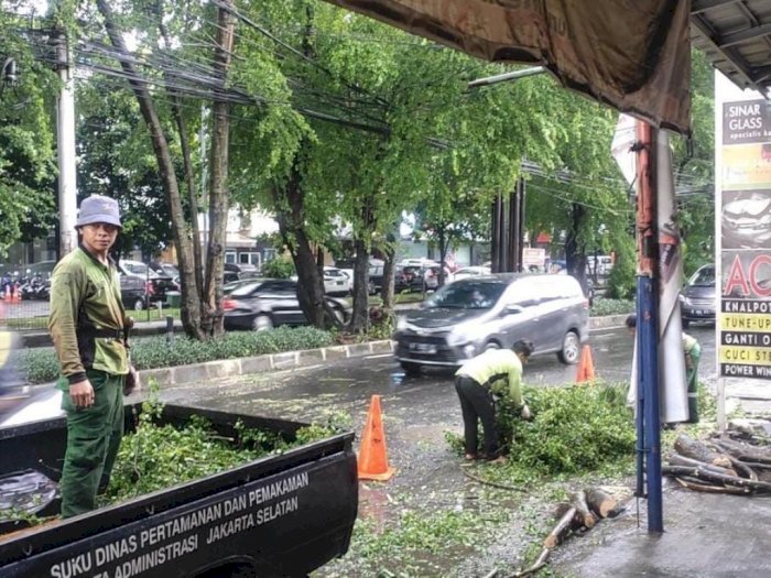 Hujan Lebat, 2 RT di Jaksel Tergenang dan Satu Pohon Roboh Akibat Angin Kencang