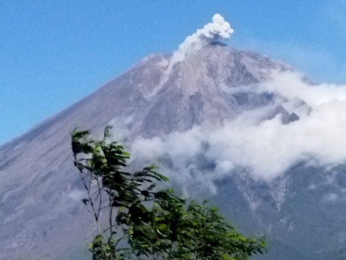 Gunung Semeru Masih Erupsi, Keluarkan Abu Terpantau  700 Meter di Atas Puncak