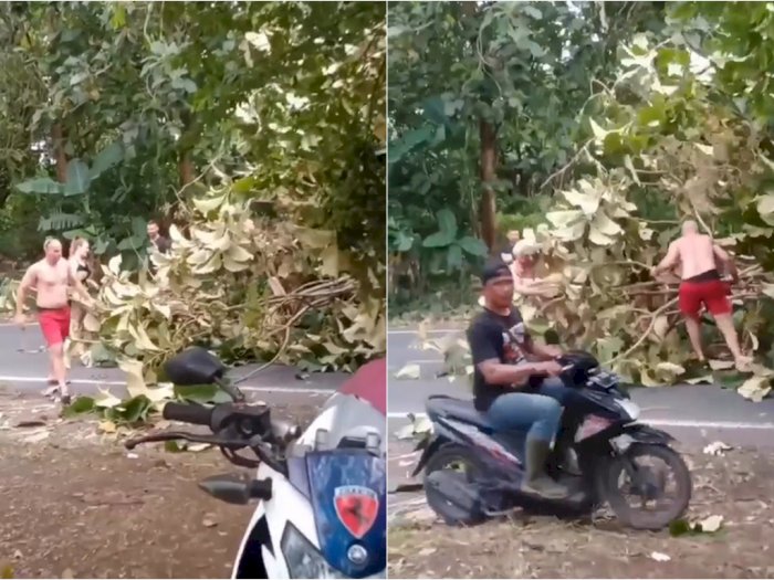 Aksi WNA Pindahkan Pohon Tumbang di Bali Tuai Pujian: Mantap Mister!