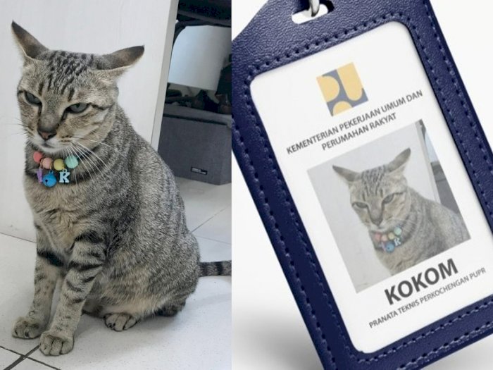 Gemas! Kucing Kokom Diangkat Jadi 'Pegawai' Kementerian PUPR, Netizen Kepo Tugasnya Apa?