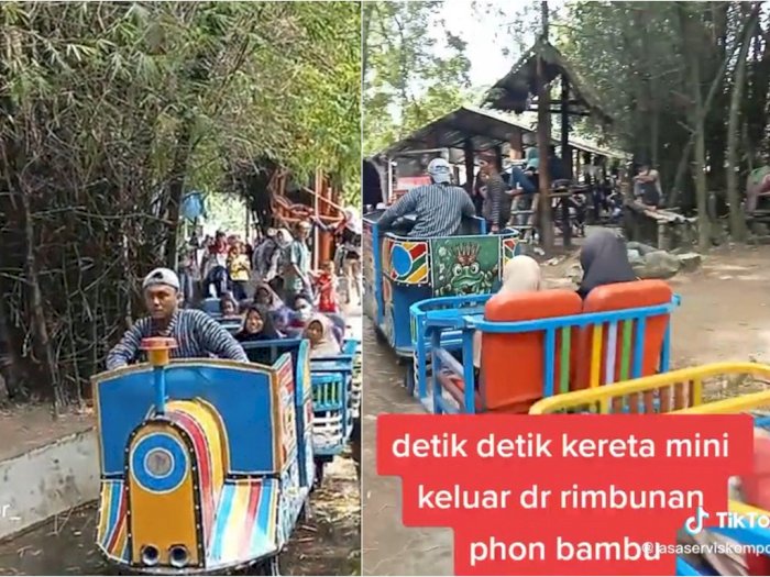 Antimainstream! Kereta Api Ini Melaju di Hutan Bambu, Lintasannya Nguji Adrenalin