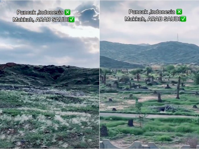 Melihat 'Wajah Baru' Arab Saudi Penuh Tumbuhan Hijau, Bulan Lalu Masih Gersang