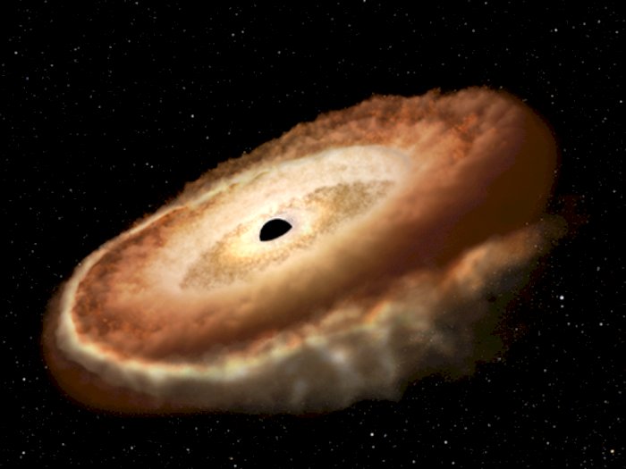 Teleskop NASA Temukan Black Hole yang Bentuknya Mirip Donat, Ternyata Peristiwa Unik