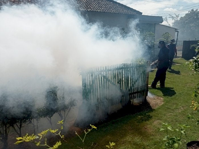 18 Warga Gilang Tulungagung Positif Chikungunya, Dinkes Lakukan Fogging