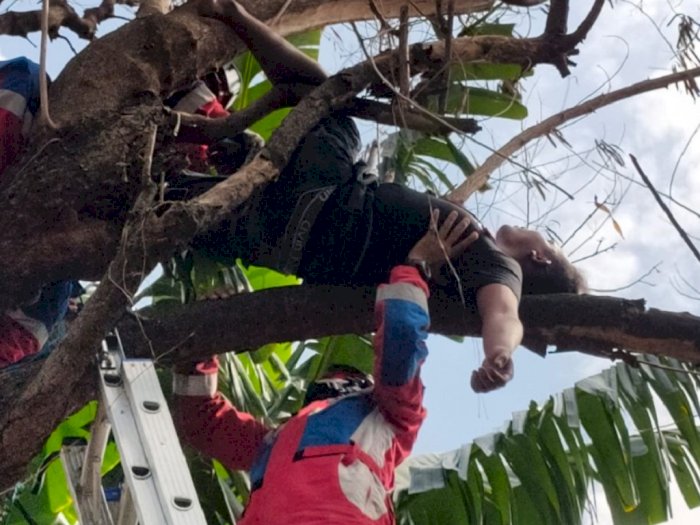 Bikin Geleng-geleng, Pemuda Ini Tidur di Atas Pohon Efek Miras-Sabu
