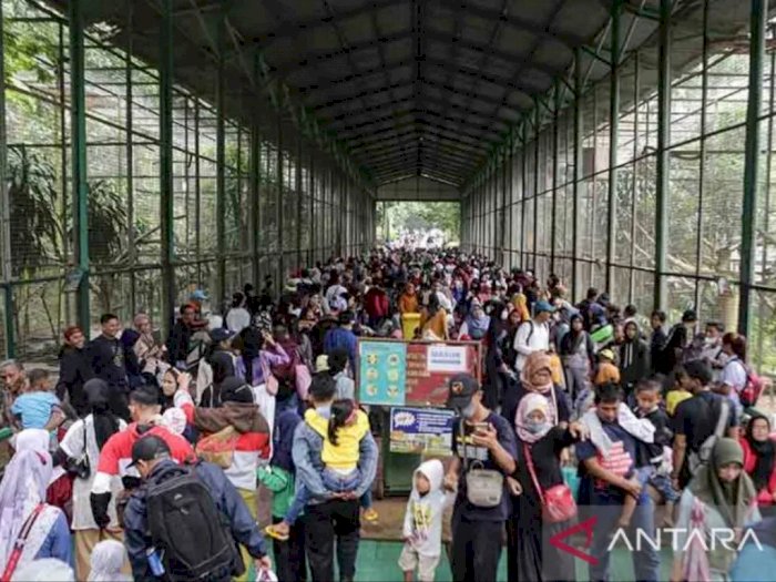 Pengunjung Taman Margasatwa Ragunan Capai Ratusan Ribu Orang saat Libur Imlek