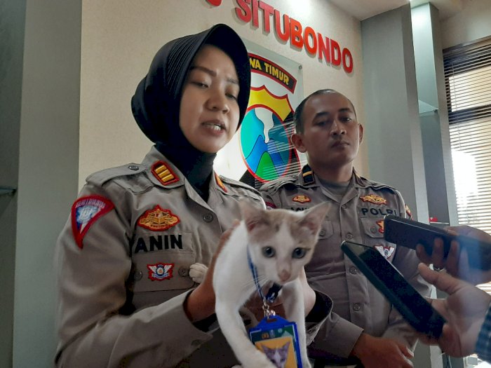 Charly, Kucing Gemas Diangkat Jadi 'Polisi', Tugasnya Berat Banget