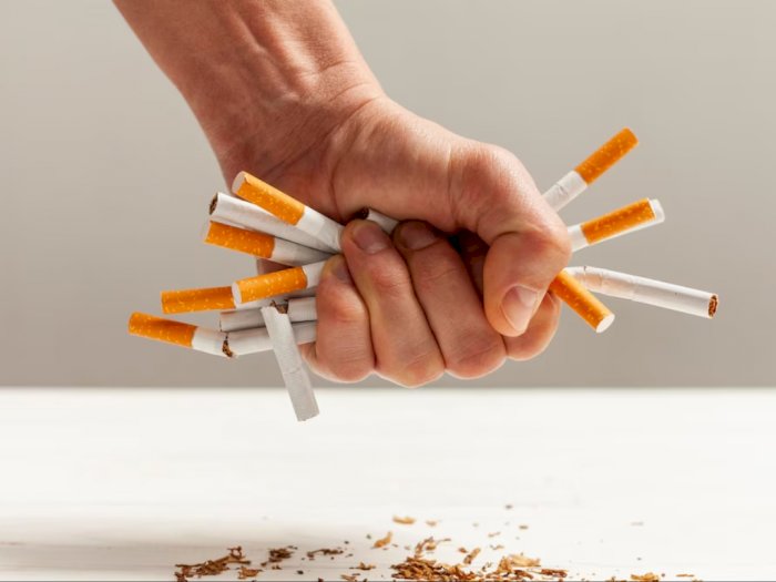 Penelitian: Produk Tembakau Alternatif Punya Risiko Kesehatan Lebih Rendah daripada Rokok