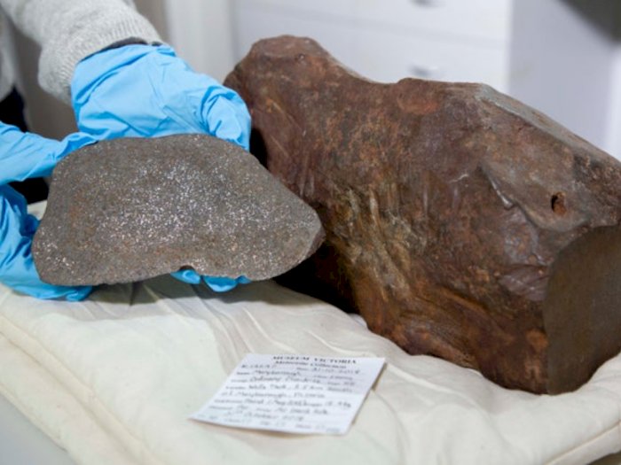 Siapa Sangka, Temuan Batu di Taman Kota Australia Ternyata Harta Karun Super Langka!