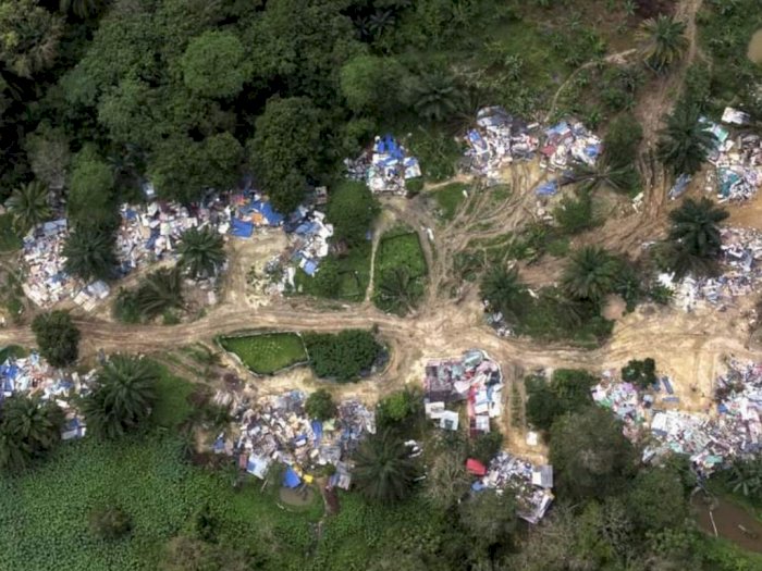 Kampung Ilegal WNI di Tengah Hutan Malaysia, 67 Orang Ditahan Termasuk Bayi 2 Bulan