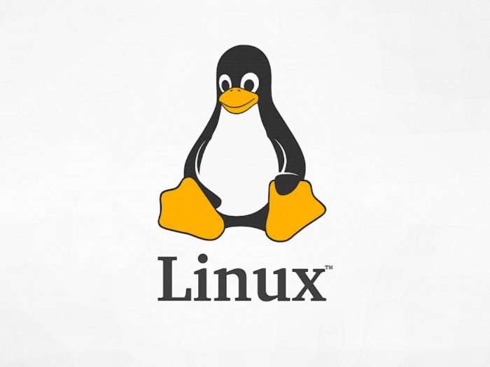 Kamu Harus Tahu! Beberapa Linux Ini Asli Kembangan Indonesia Lho