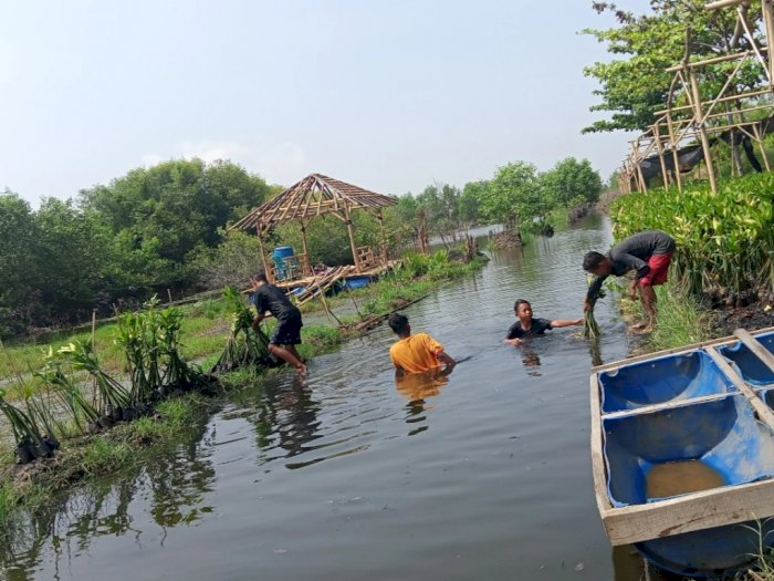Ekowisata Mangrove Mulyo Asri, Belajar Konservasi Alam Sambil Rekreasi di Pekalongan