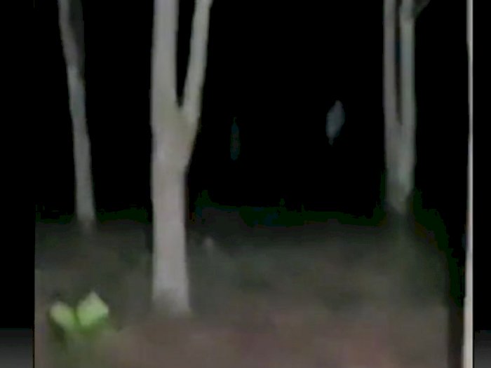 Video Penampakan Pocong Real Terekam di Hutan, Merinding Sedetik Langsung Hilang