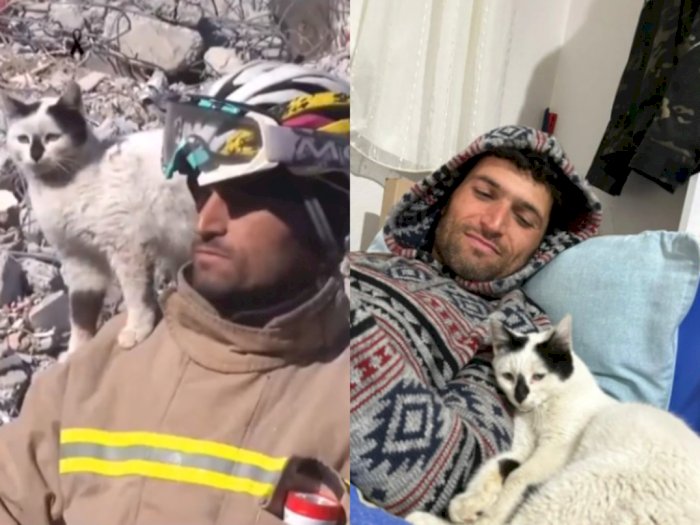 Momen Kucing Gak Mau Pisah dari Pria yang Menyelamatkannya dari Gempa Turki, Sweet Banget!