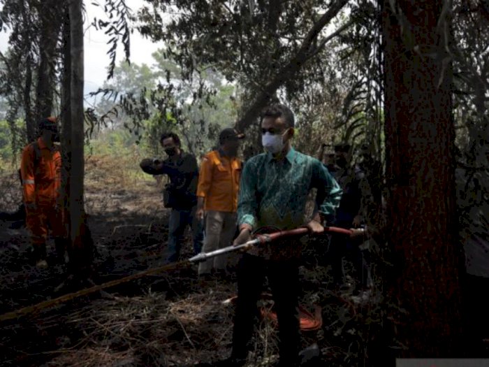 Masih Banyak Hutan Dibakar, DPRD Pontianak Minta Tindak Tegas Pelaku Karhutla