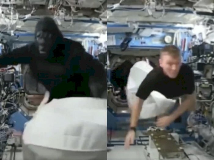 Potret Astronot Cosplay Jadi Gorila, Temannya Ngibrit Ketakutan: Jadi Prank ISS Terbaik!