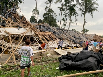 Angin Puting Beliung Terjang Wilayah Jember, 91 Rumah Rusak dan 3 Korban Luka