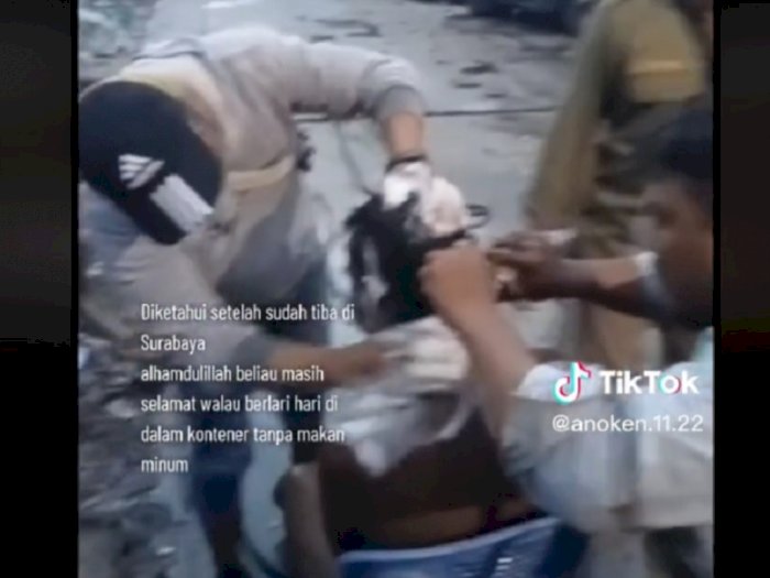 Viral ODGJ Masuk Kontainer dari Maluku Keluar di Surabaya