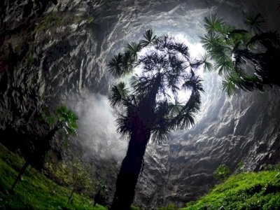 Heboh Penemuan Lubang Raksasa di China, Ternyata Isinya Hutan Purba Super Cantik! 