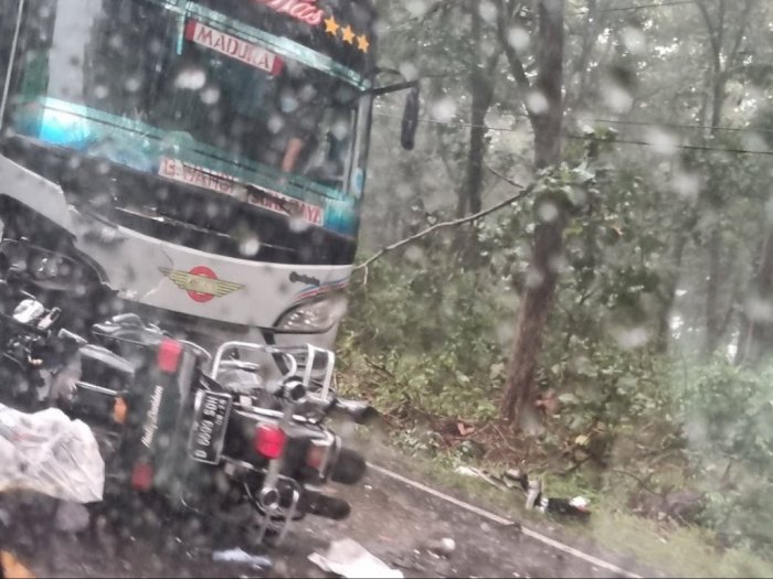 Tragis! Kecelakaan Adu Banteng Moge vs Bus di Situbondo, Satu Orang Meninggal Dunia