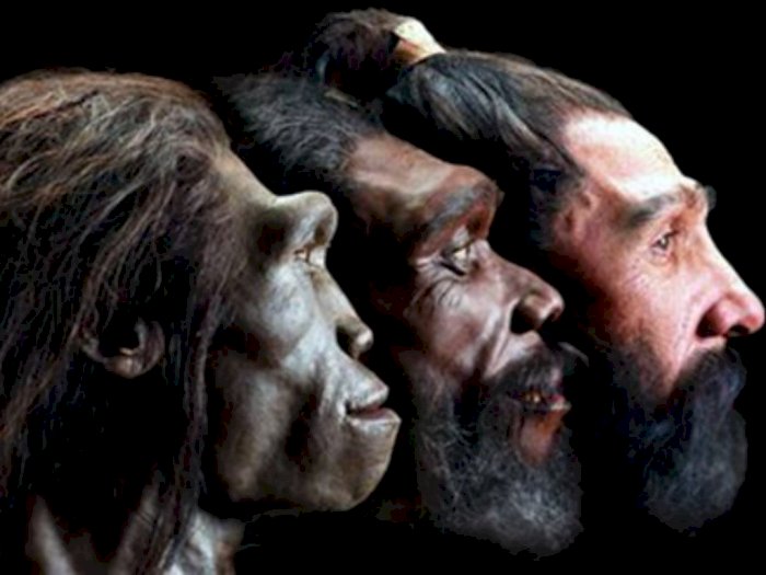 Manusia Purba Neanderthal Punah Bukan karena Seleksi Alam Tapi Kurang Seks