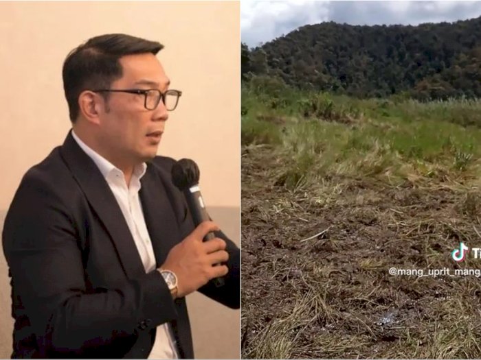 Ridwan Kamil Geram Balap Trail Hancurkan Kebun Edelweiss di Ranca Upas: Jangan Beri Izin