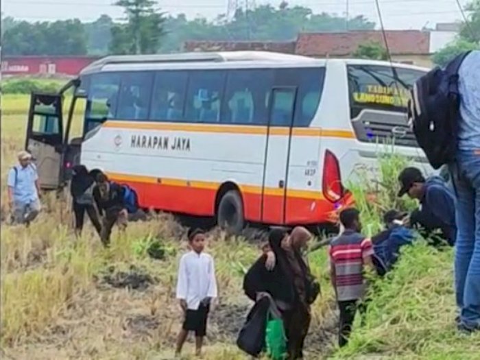 Bus Harapan Jaya & Bus Bagong Nyaris 'Adu Banteng', Banting Setir Terperosok ke Sawah