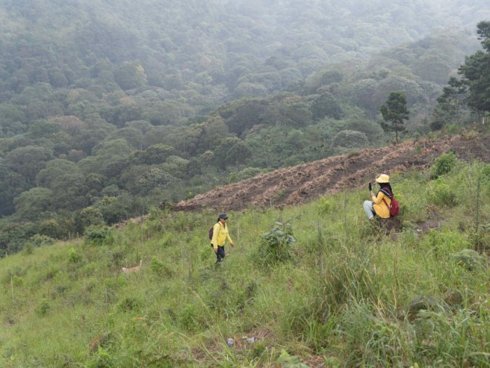 Jalur Putuk Lesung, Cara Terbaik Mendaki Gunung Arjuno Bagi Pemula Meski Penuh Mistis!