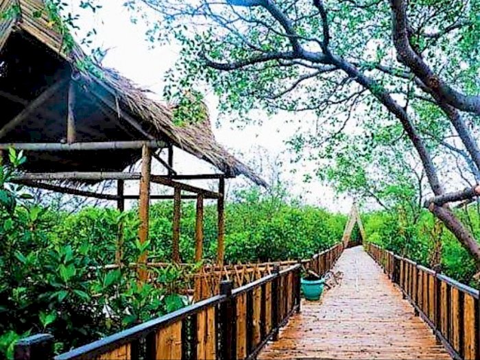 Ekowisata Mangrove Surabaya, Area Hijau di Tengah Padatnya Kota