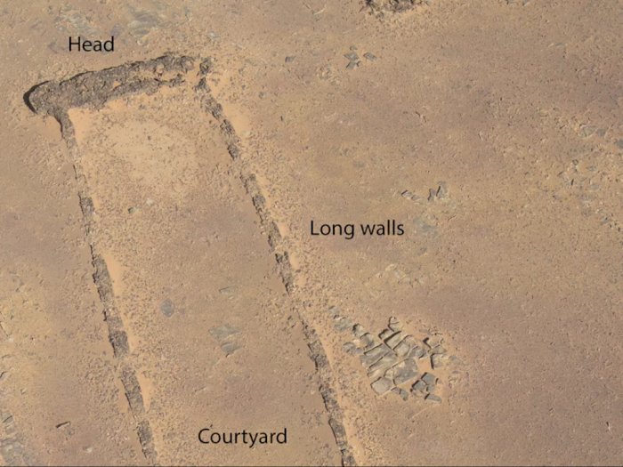 Arkeolog Temukan Sisa Tulang Manusia di Gurun Arab Berusia 7.000 Tahun